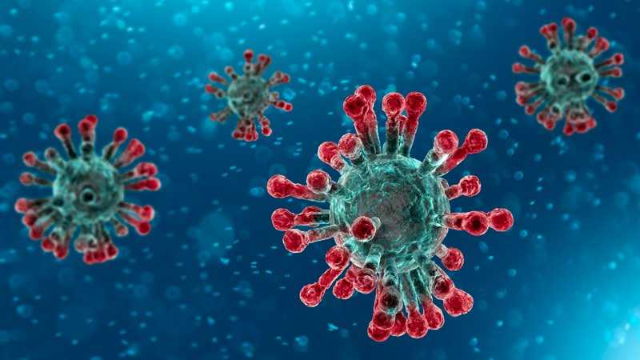 Vaccinazione antinfluenzale e anti Covid-19